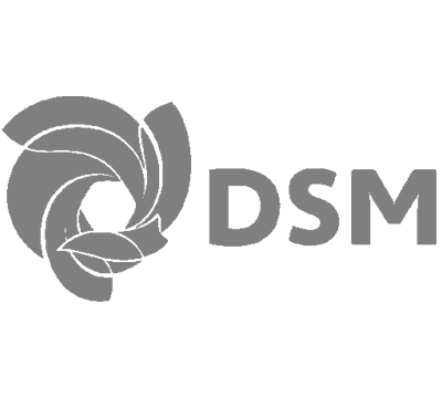 DSM