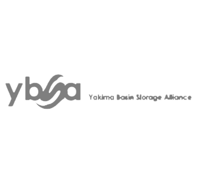 YBSA